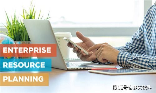 ERP管理思想在组织保障方面的核心体现