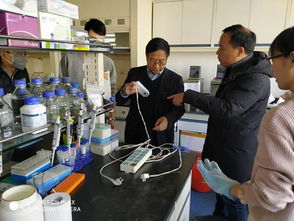 筑牢安全防线，守护科研净土——黄海水产研究所圆满完成元旦节前安全大检查