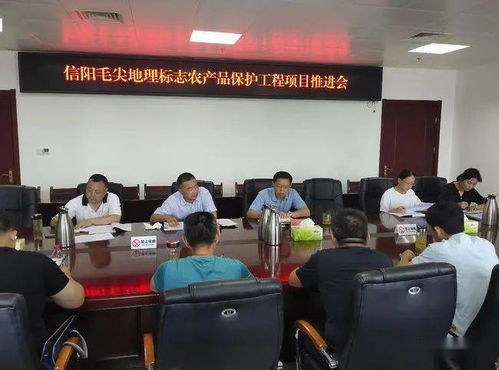 河南信阳召开毛尖地理标志保护推进会，筑牢产业发展根基